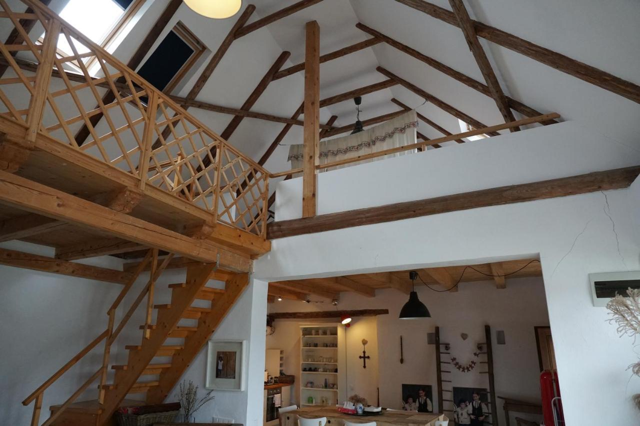 La Mosu Villa Porumbacu de Sus Bagian luar foto
