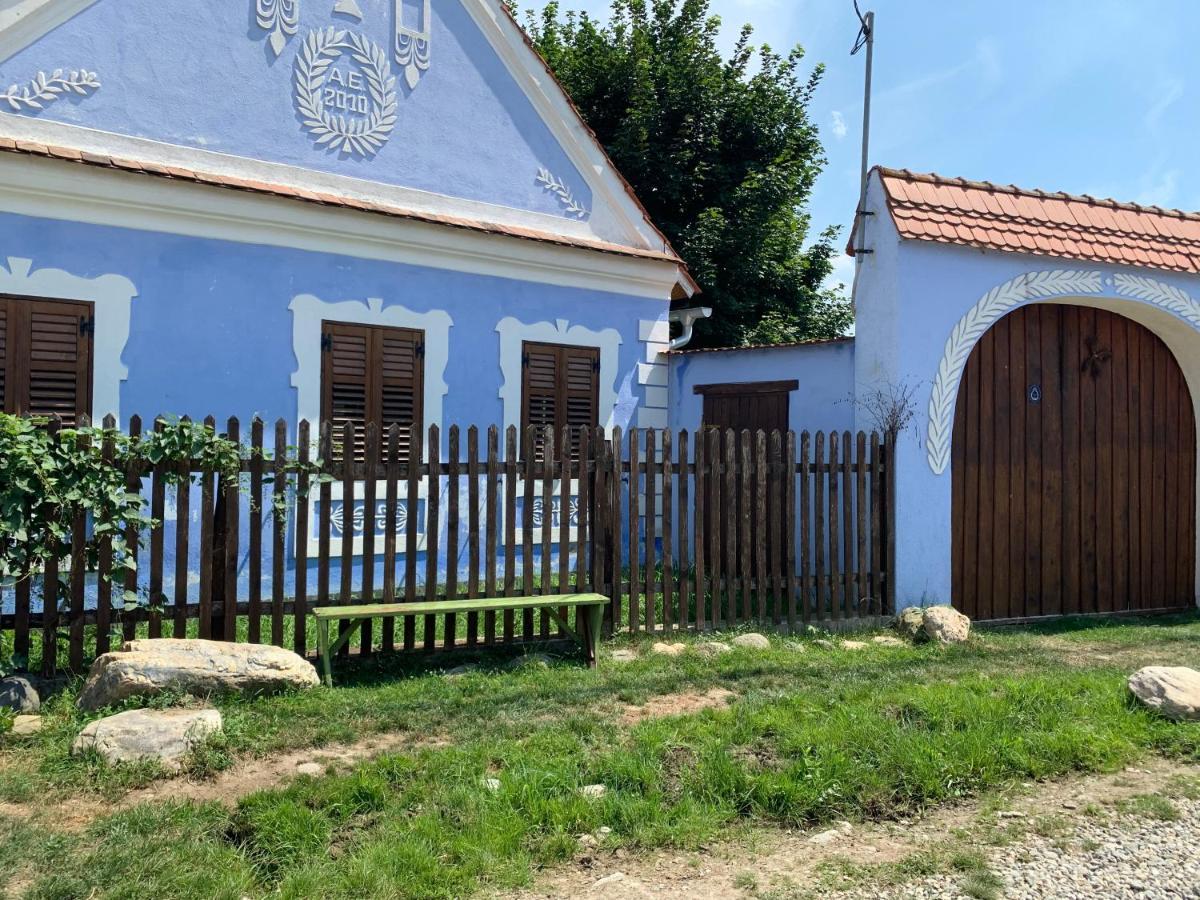 La Mosu Villa Porumbacu de Sus Bagian luar foto
