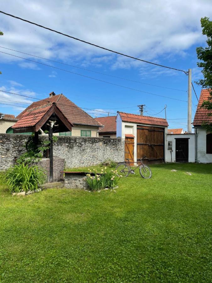 La Mosu Villa Porumbacu de Sus Bagian luar foto