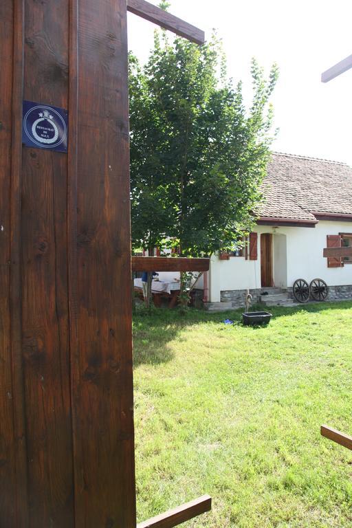 La Mosu Villa Porumbacu de Sus Bagian luar foto