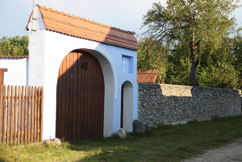 La Mosu Villa Porumbacu de Sus Bagian luar foto