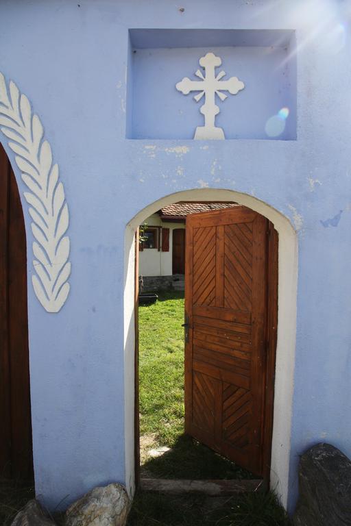 La Mosu Villa Porumbacu de Sus Bagian luar foto