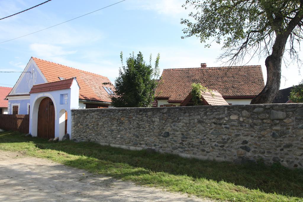 La Mosu Villa Porumbacu de Sus Bagian luar foto