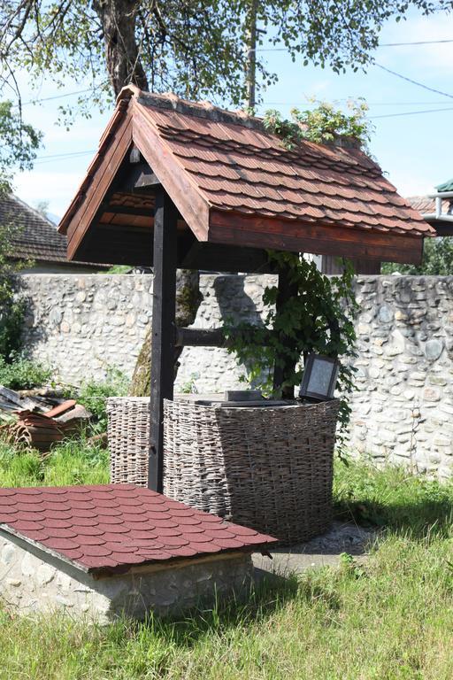 La Mosu Villa Porumbacu de Sus Bagian luar foto