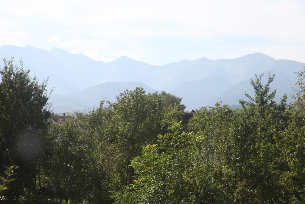 La Mosu Villa Porumbacu de Sus Bagian luar foto